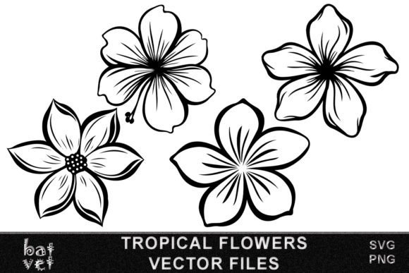 Download Tropical Flower SVG Vector Bundle Design - Vector Collection